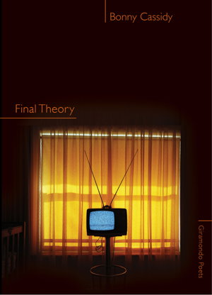 Cover art for Final Theory