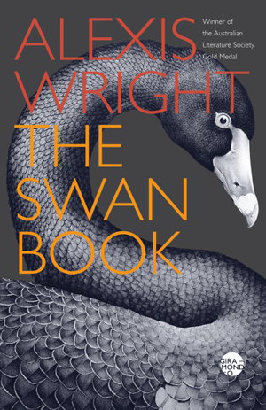 Cover art for The Swan Book