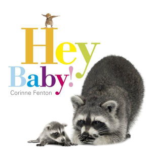Cover art for Hey Baby!