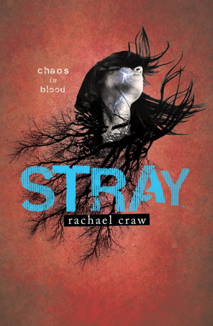Cover art for Stray