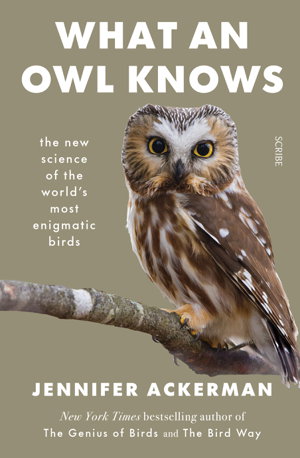 Cover art for What an Owl Knows