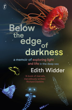 Cover art for Below the Edge of Darkness