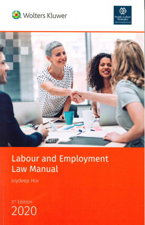 Cover art for Labour and Employment Law Manual - 3rd Edition