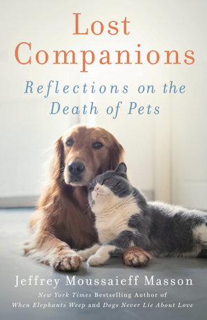Cover art for Lost Companions