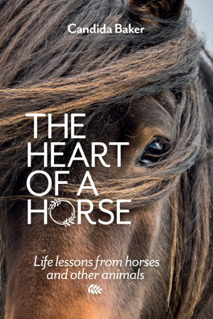 Cover art for The Heart of a Horse