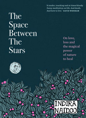 Cover art for The Space Between the Stars