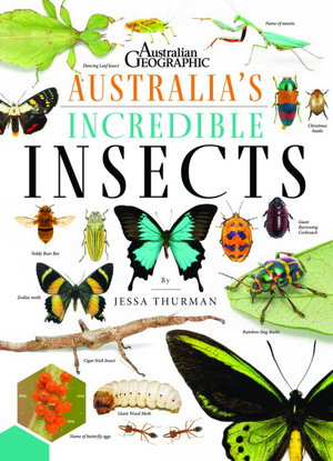 Cover art for Australia's Incredible Insects
