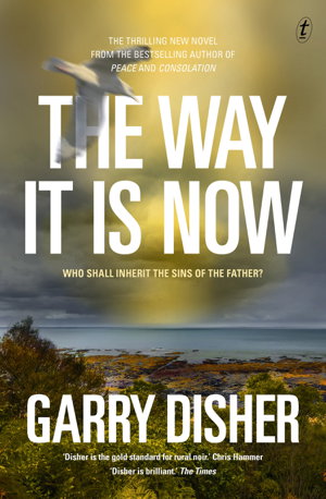 Cover art for The Way It Is Now