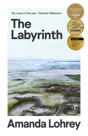 Cover art for The Labyrinth: Winner of the 2021 Miles Franklin Literary Award