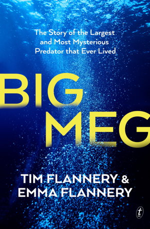 Cover art for Big Meg