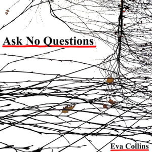 Cover art for Ask No Questions