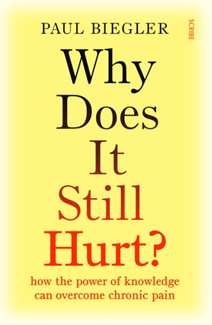 Cover art for Why Does It Still Hurt ?