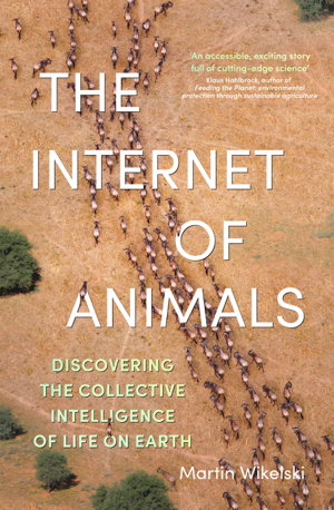 Cover art for The Internet of Animals