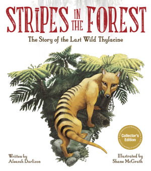 Cover art for Stripes in the Forest