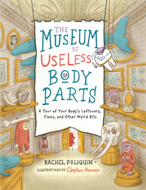 Cover art for The Museum of Useless Body Parts