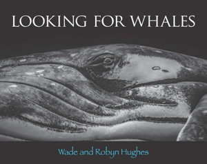 Cover art for Looking for Whales