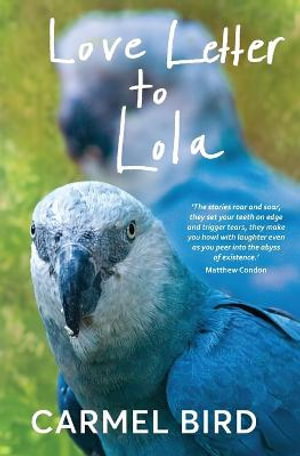 Cover art for Love Letter to Lola