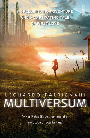 Cover art for Multiversum