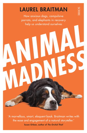 Cover art for Animal Madness How Anxious Dogs Compulsive Parrots and