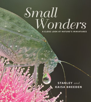 Cover art for Small Wonders