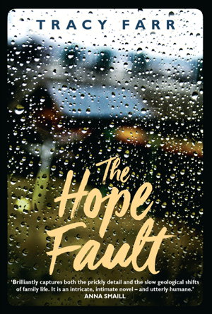 Cover art for The Hope Fault