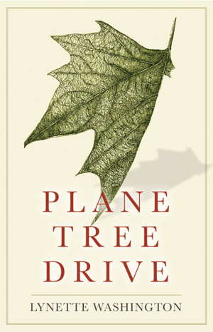 Cover art for Plane Tree Drive