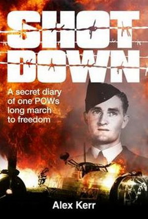 Cover art for Shot Down