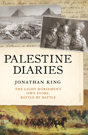 Cover art for Palestine Diaries