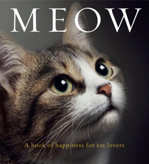 Cover art for Meow