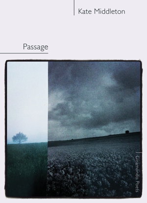 Cover art for Passage