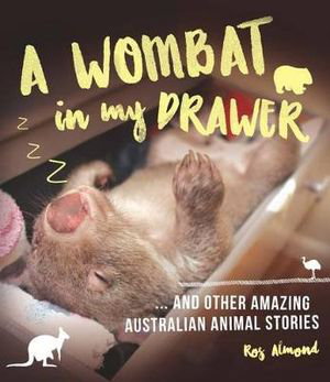 Cover art for Wombat in My Drawer and Other Amazing Animal Stories