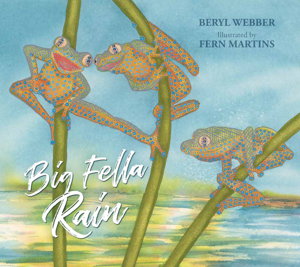 Cover art for Big Fella Rain