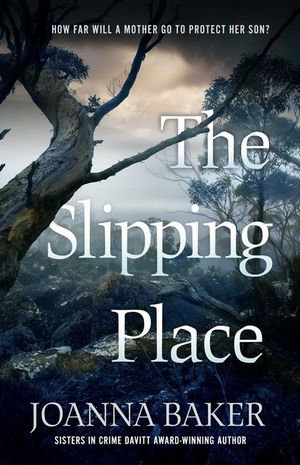 Cover art for Slipping Place