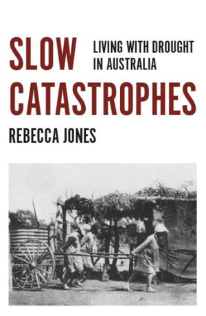 Cover art for Slow Catastrophes