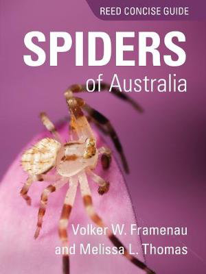 Cover art for Reed Concise Guide to Spiders of Australia
