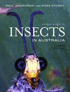 Cover art for A Field Guide to Insects in Australia