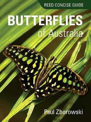 Cover art for Reed Concise Guide to Butterflies of Australia