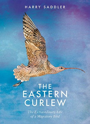 Cover art for The Eastern Curlew