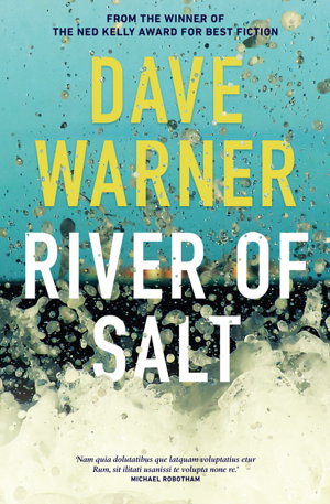 Cover art for River of Salt