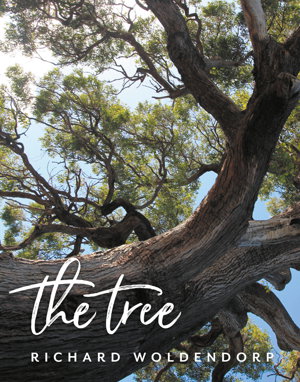 Cover art for The Tree