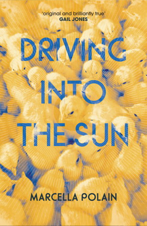 Cover art for Driving into the Sun