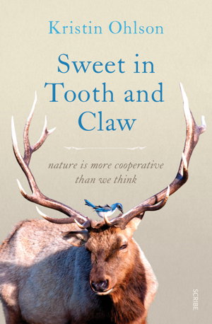 Cover art for Sweet in Tooth and Claw