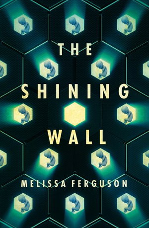 Cover art for The Shining Wall