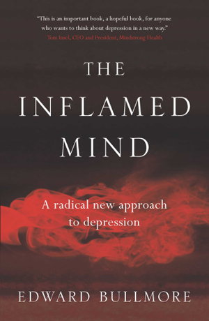 Cover art for Inflamed Mind
