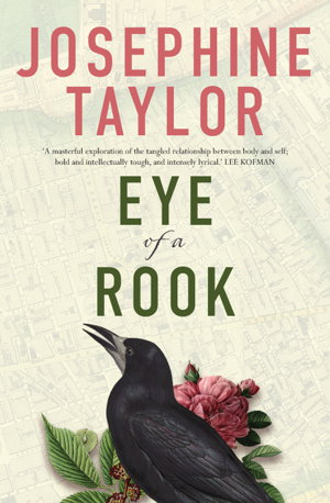 Cover art for Eye of a Rook