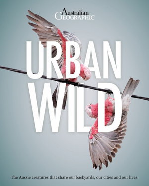 Cover art for Urban Wild