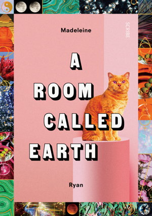 Cover art for A Room Called Earth