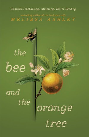 Cover art for Bee and the Orange Tree