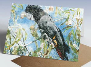 Cover art for Red-Tailed Black Cockatoo Greeting Card