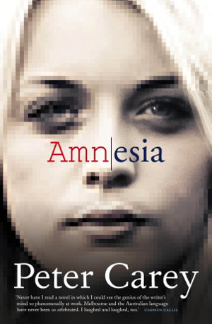 Cover art for Amnesia